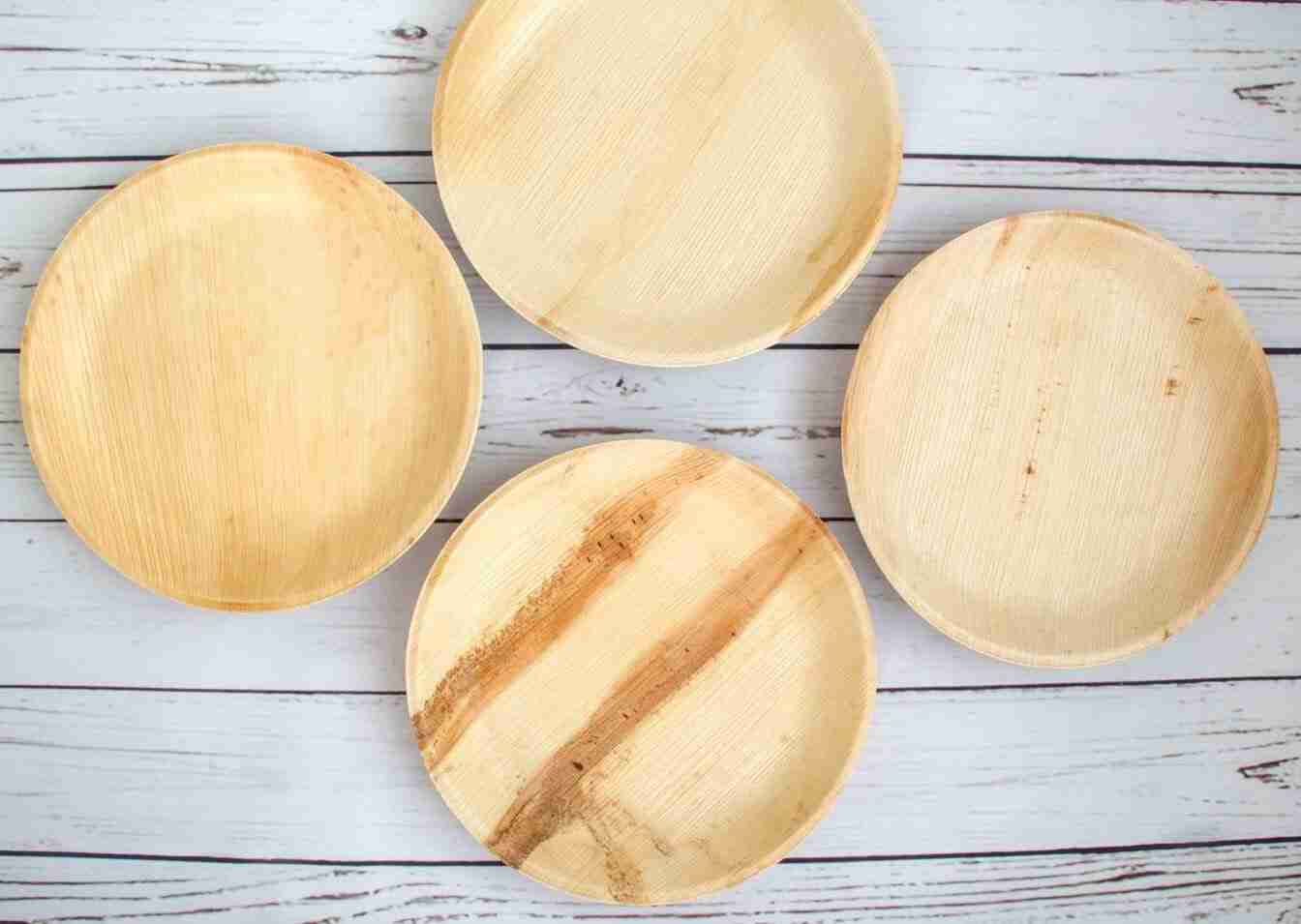 Leafily Palm Leaf Plates is bamboo dinnerware microwave safe