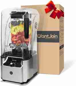 WantJoin Commercial Professional Blender What is the quietest ninja blender? 